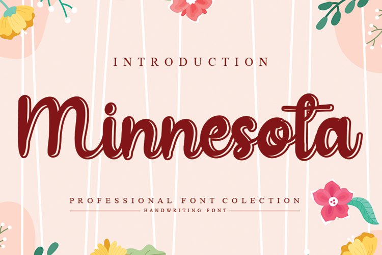 Minnesota example image 1