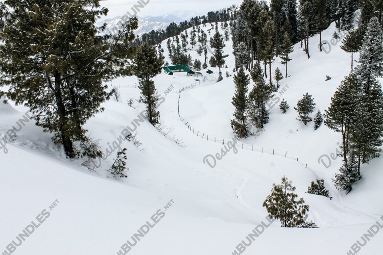 Breathtaking view of the trees on the snow-covered example image 1