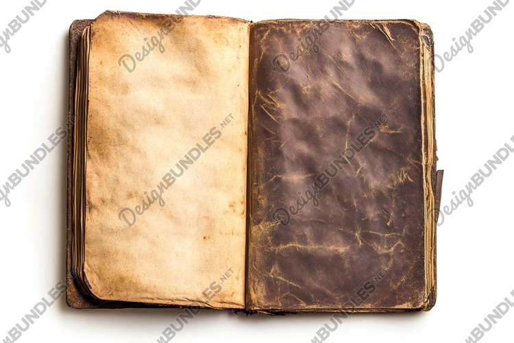 Open Book Clipart Image 3