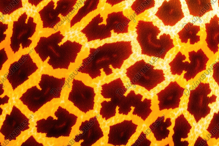 Animal Texture Image 19