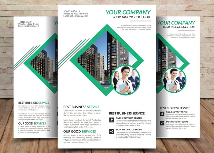 Business Company  Flyer example image 1