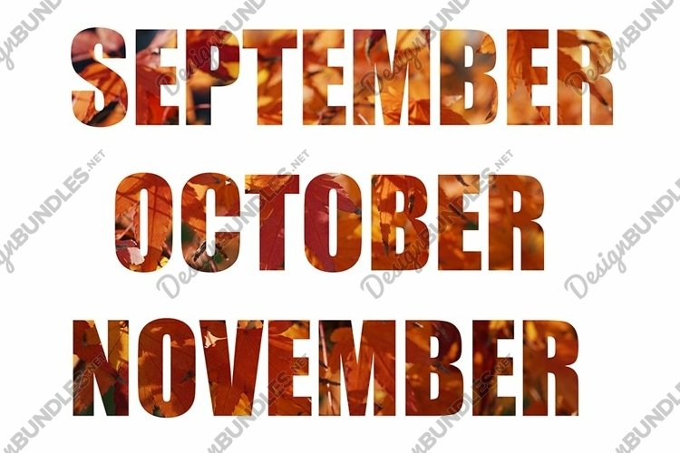 Red Background Image 13