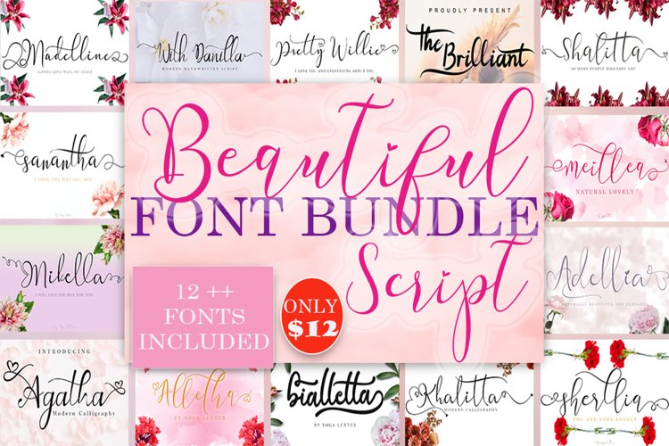 Beautiful Script Font Bundles example image 1