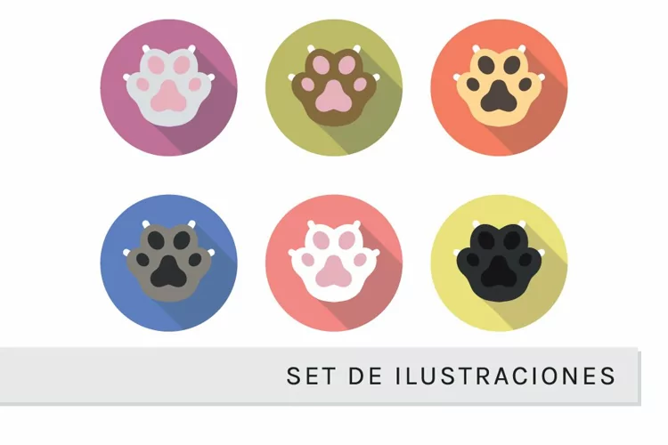 Set de Patas de Gatos