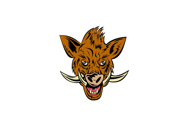Pig Clipart Image 19