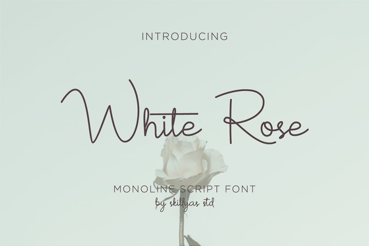 White Rose - monoline script font example image 1