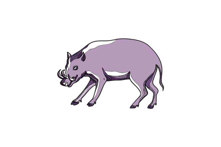 Pig Clipart Image 17