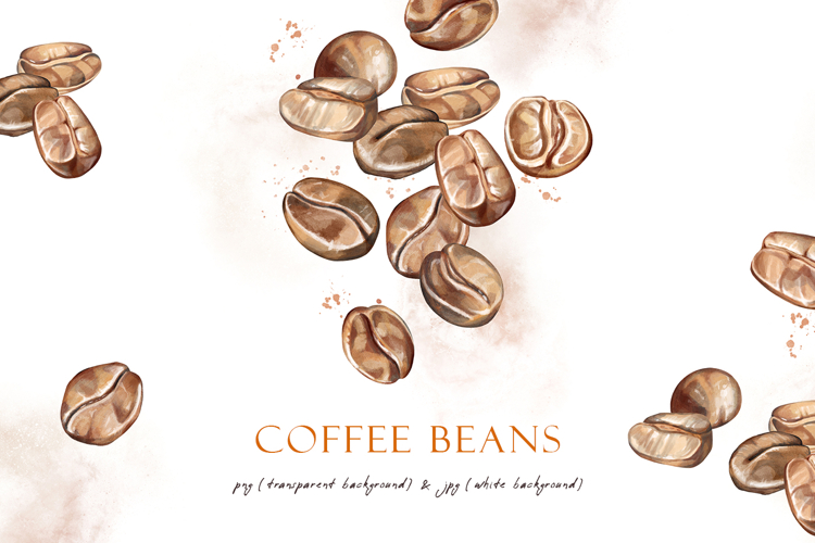 Watercolor roasted coffee beans, png clipart, patterns