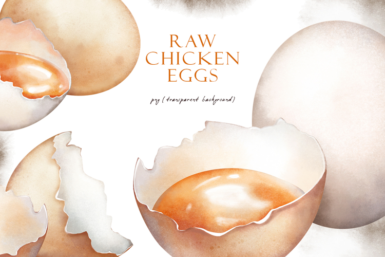 Watercolor brown and white raw chicken eggs set