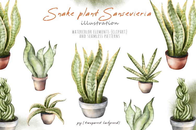 Flower Pot Png Image 17