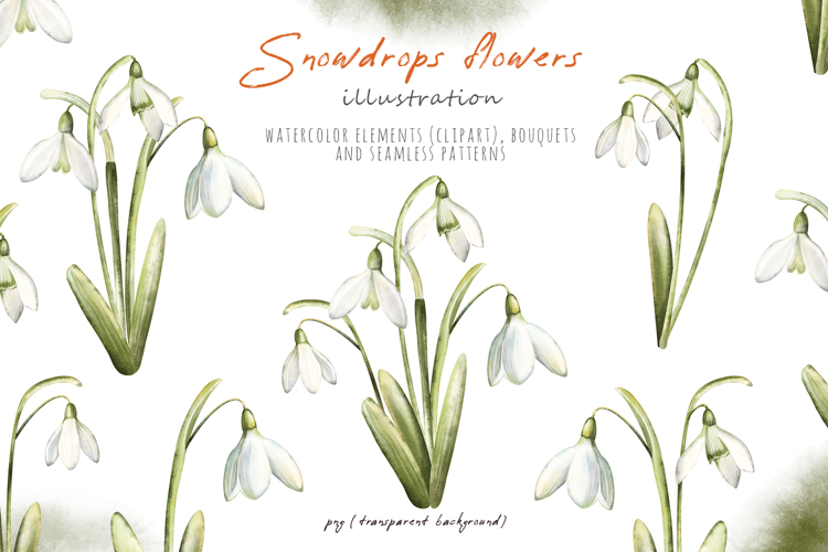 Watercolor snowdrops flowers, beautiful spring illustration