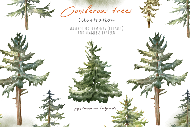 Watercolor coniferous trees - spruce, pine