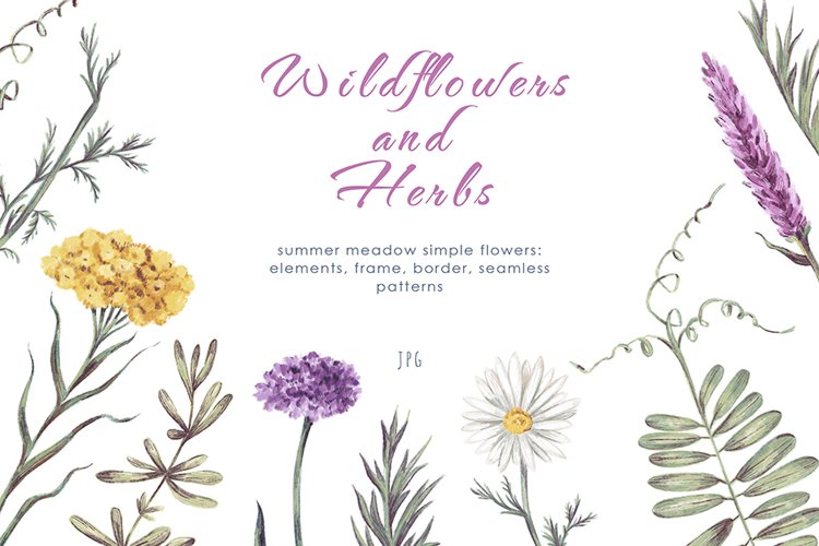 Wildflower Clipart Image 14