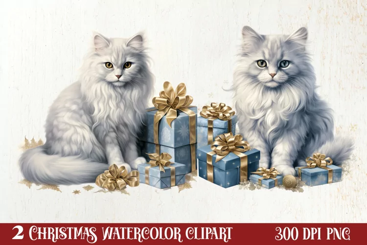 Fairy Christmas Collection Sublimation Clipart