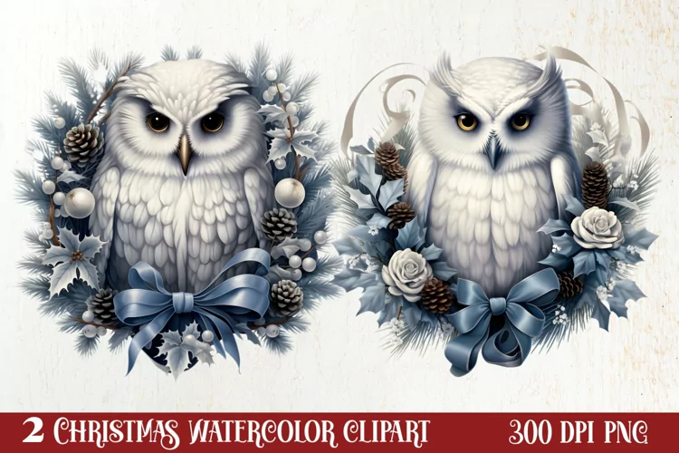 Fairy Christmas Collection Sublimation Clipart