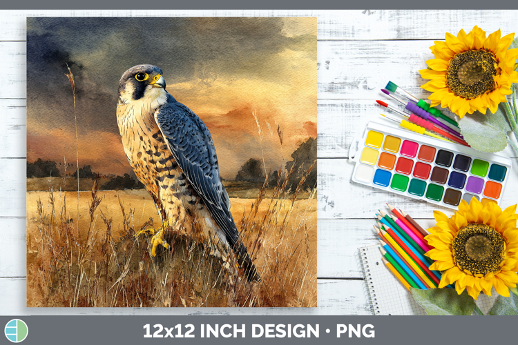 Prairie Falcon Sunset Paper Backgrounds Design