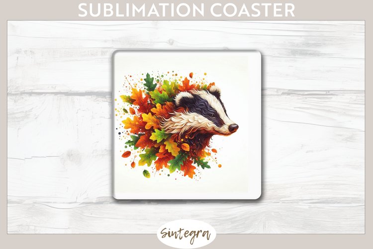 Badger Clipart Image 11