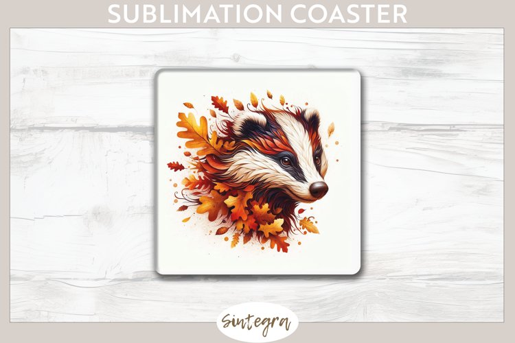 Badger Clipart Image 13
