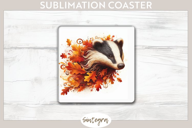Badger Clipart Image 12