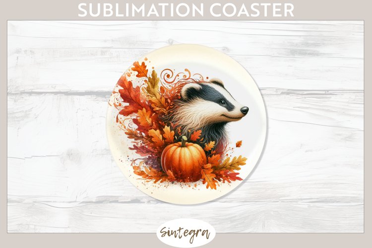 Badger Clipart Image 19