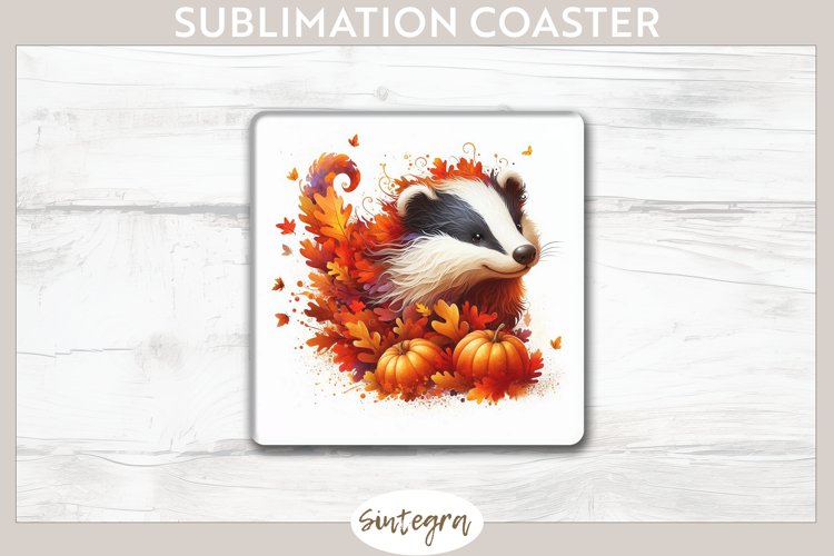 Badger Clipart Image 10