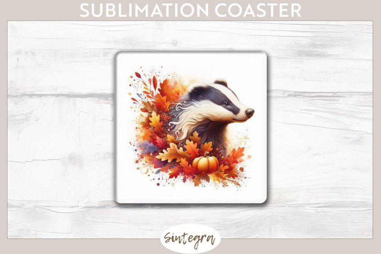 Badger Clipart Image 9