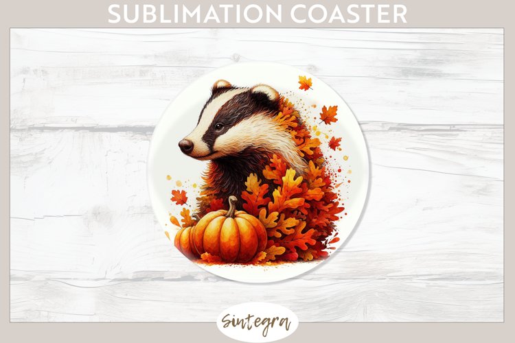 Badger Clipart Image 16