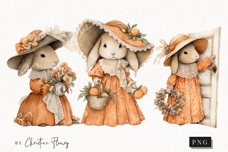 Rabbit Png Image 3
