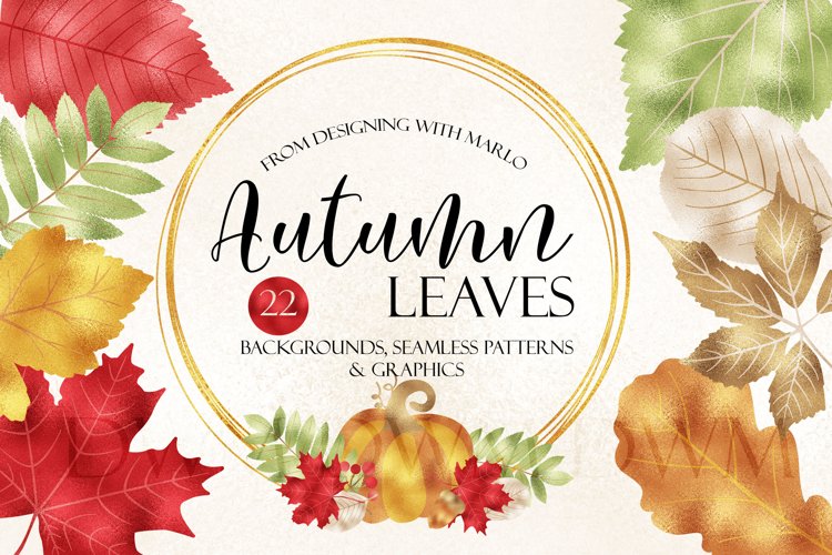 Autumn Leaves Clipart, Autumn Backgrounds, Fall Papers example image 1