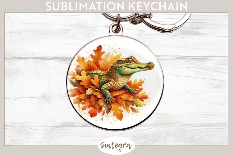 Keychain Png Image 10