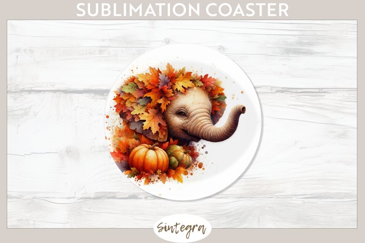 Elephant Png Clipart Image 21