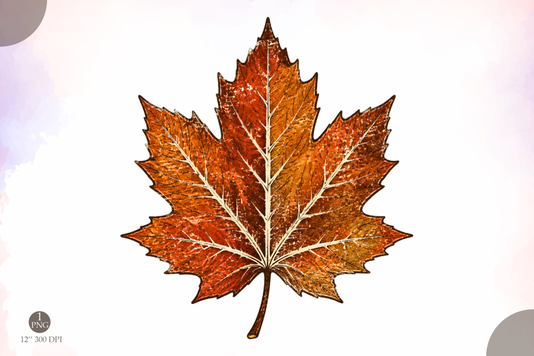 Fall Maple Leaf PNG,Vintage Autumn Leaf Design