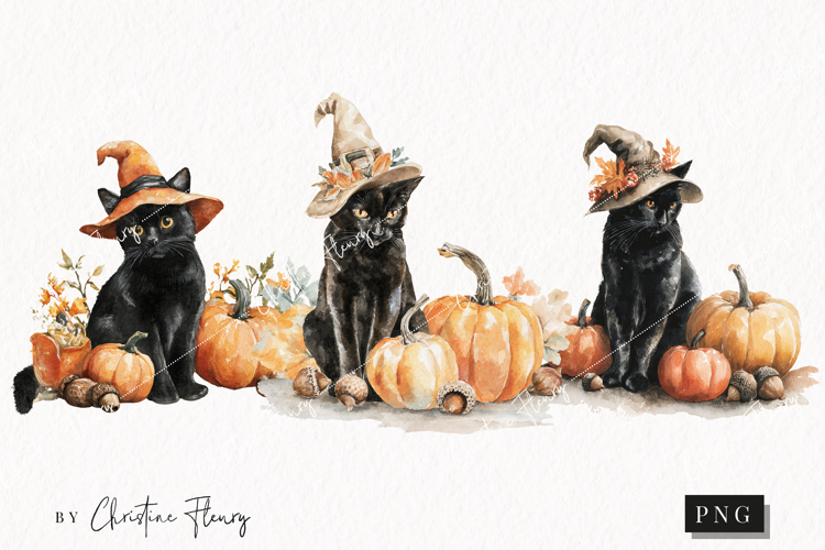 Fall Witch Cat Clipart | Halloween PNG