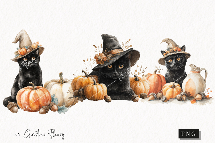 Fall Witch Cat Clipart | Halloween PNG