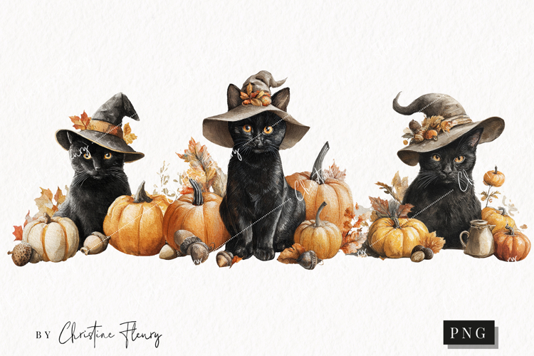 Fall Witch Cat Clipart | Halloween PNG
