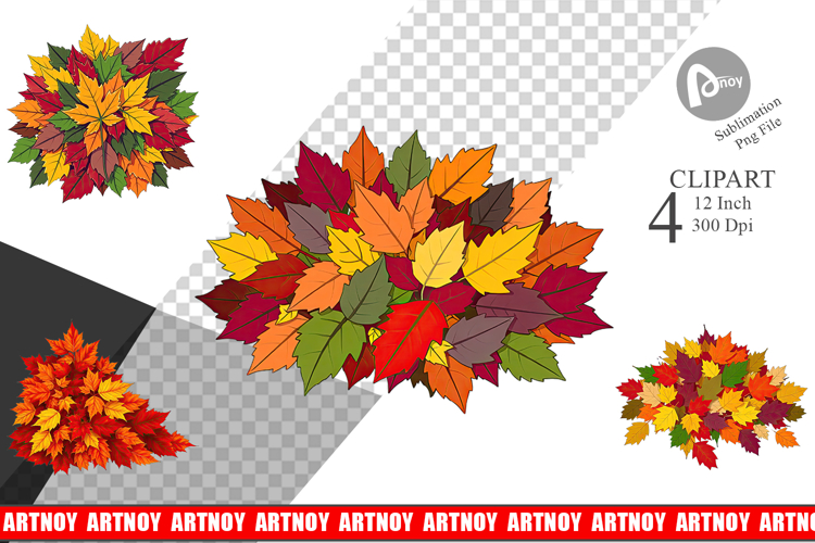 Forest Png Image 22