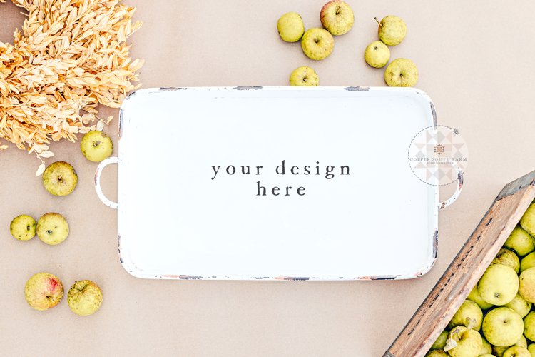 Breakfast Serving Tray Mockup, Metal Serving Tray (1492490)