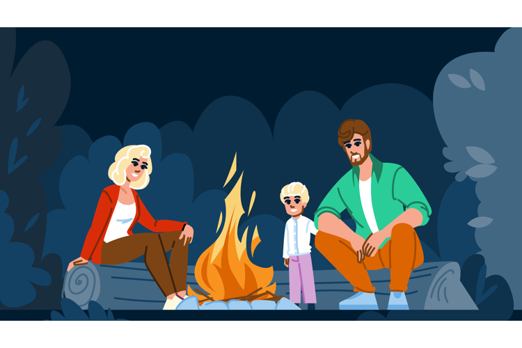 Fireworks Vector Image 2