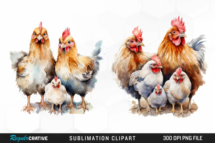 Watercolor Family Chicken PNG Clipart