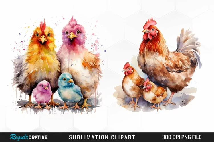 Watercolor Family Chicken PNG Clipart