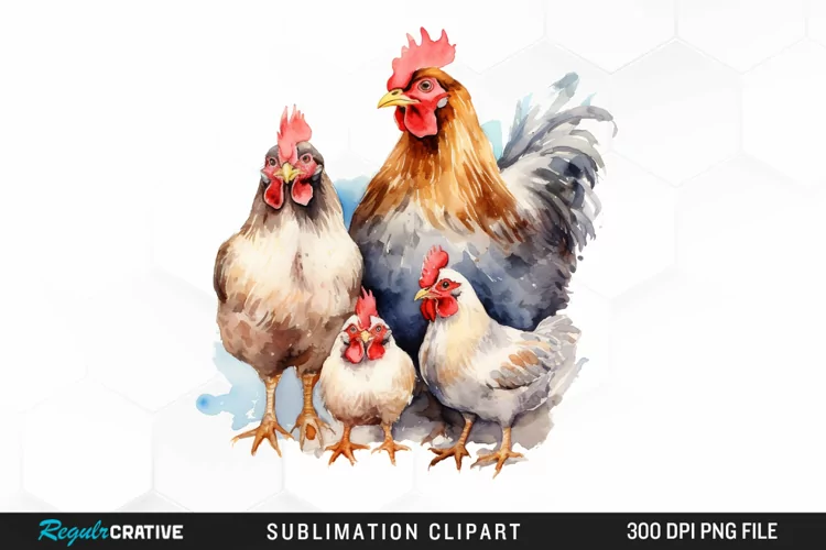 Watercolor Family Chicken PNG Clipart