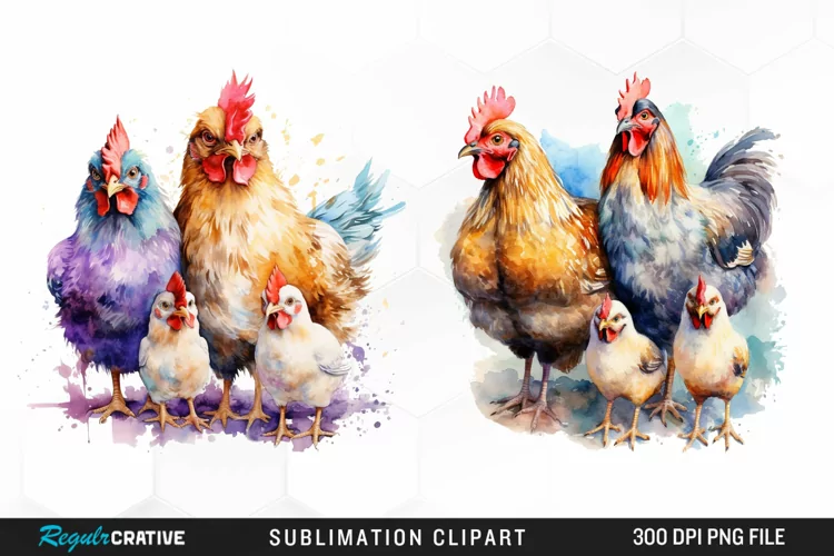 Watercolor Family Chicken PNG Clipart