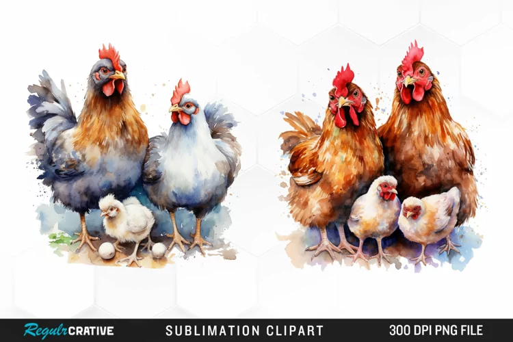 Watercolor Family Chicken PNG Clipart