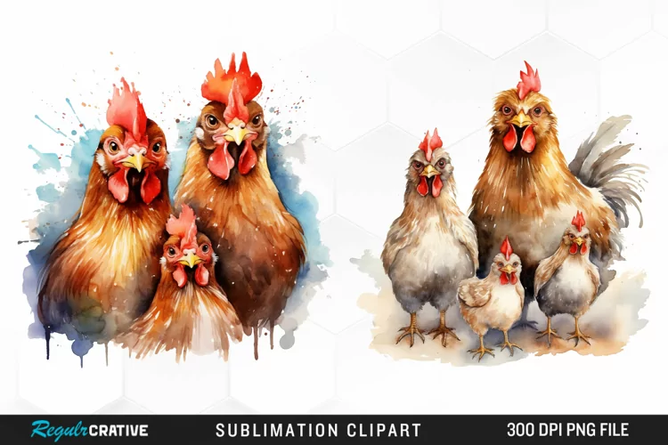 Watercolor Family Chicken PNG Clipart