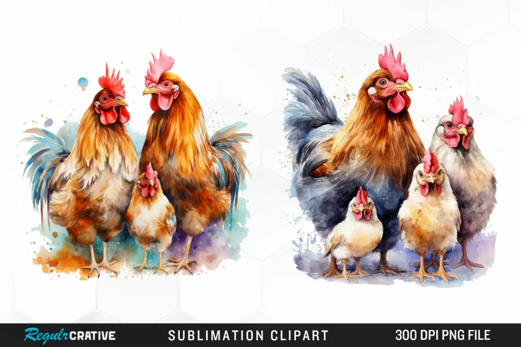 Watercolor Family Chicken PNG Clipart