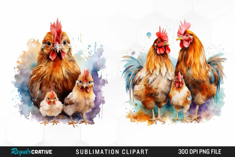 Watercolor Family Chicken PNG Clipart