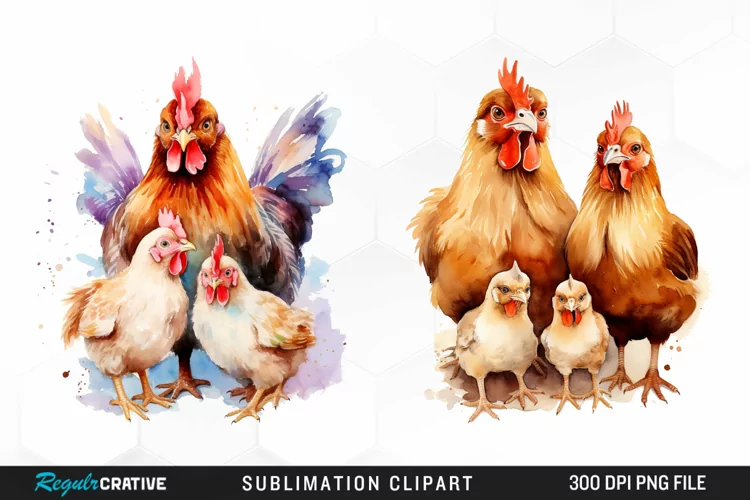 Watercolor Family Chicken PNG Clipart