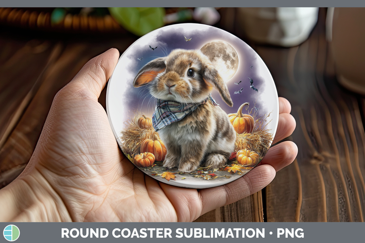 Bunny Clipart Image 16