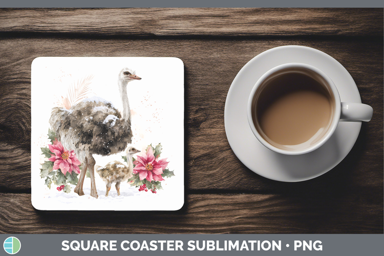 Ostrich Farm Christmas Poinsettia Square Coaster Sublimation