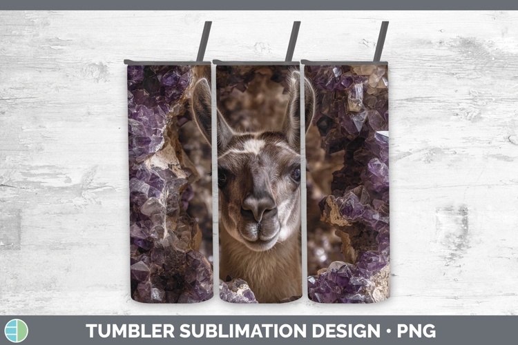 Llama Clipart Image 20